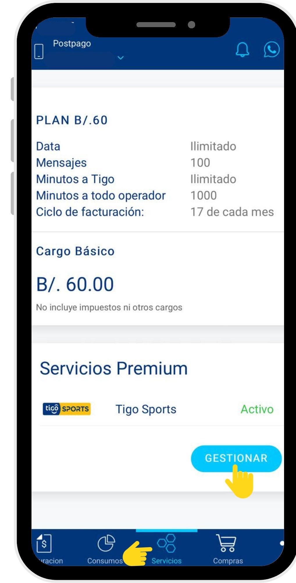 Copia de Sin título (61).jpg