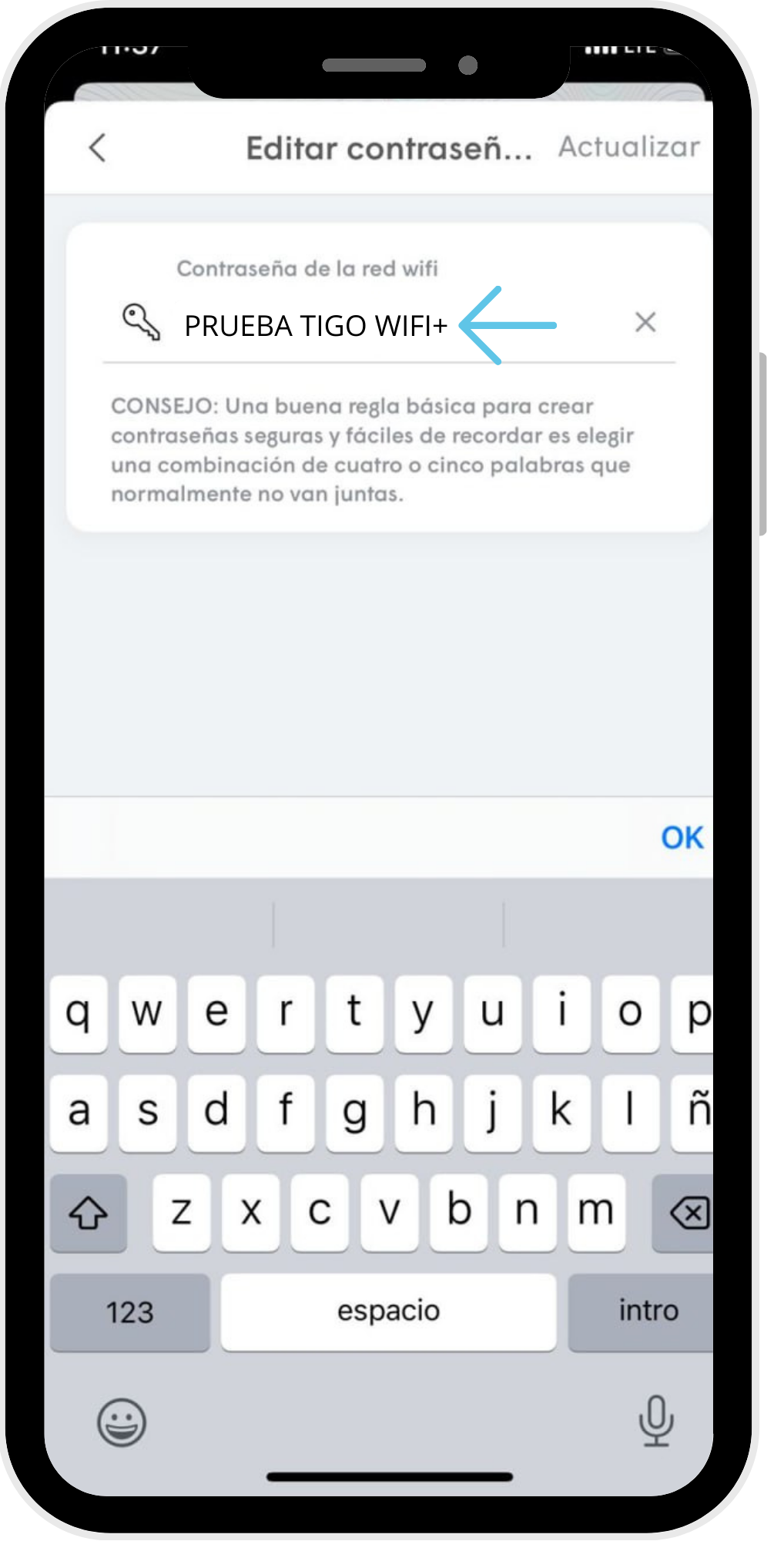 Copia_de_Sin_t_tulo__79_.png