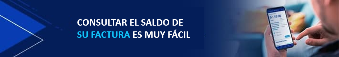 CONSULTA-SALDO-PYME